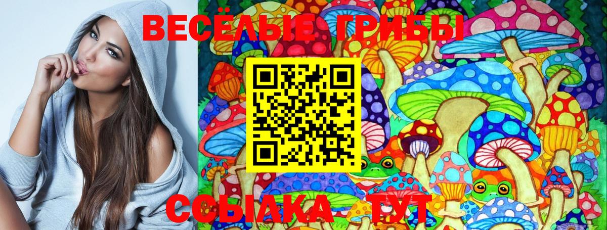 Галлюциногенные грибы MAGIC MUSHROOMS Чусовой